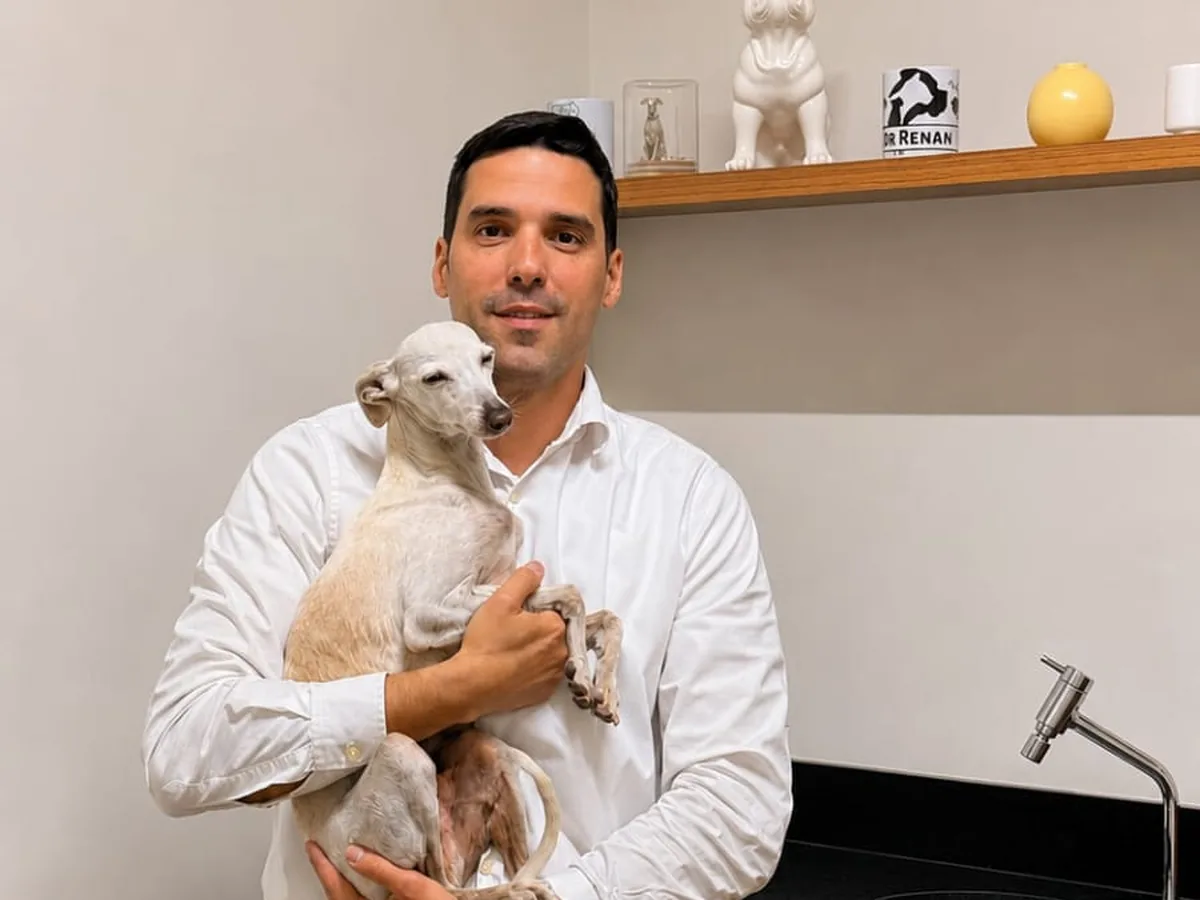 Dr. Renan Vianna em atendimento na clínica veterinária da Companhia Animal, Vila Mariana