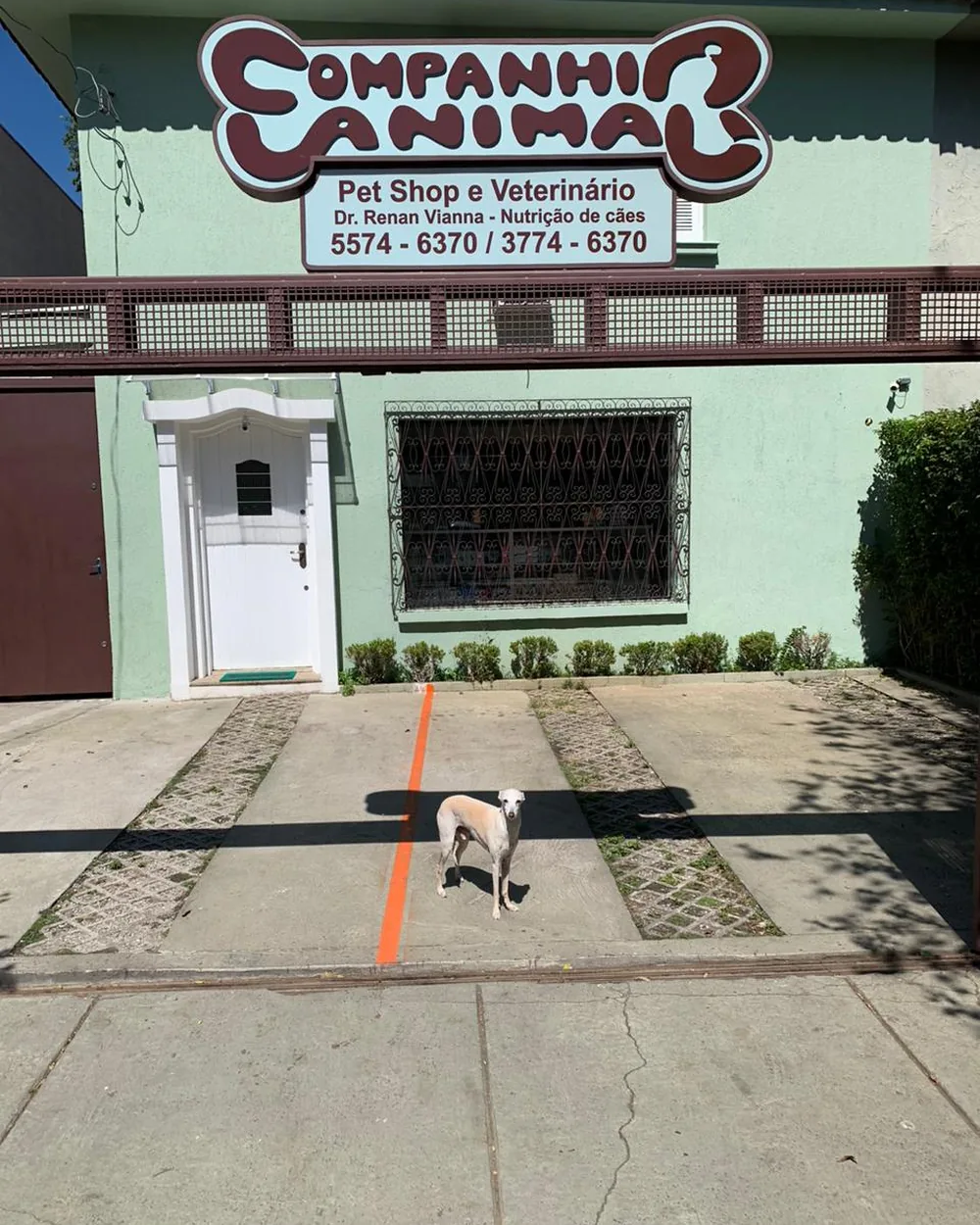 Fachada da Companhia Animal na Rua Dr. Mário Cardim, Vila Mariana, São Paulo